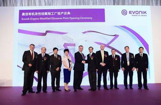 數千萬歐元投資驅動新工廠投產，贏創以資產管理策略鞏固有機硅表面活性劑全球領先地位